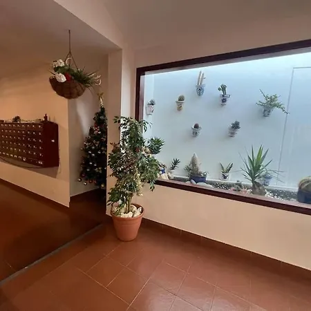 Molton Tenerife 1 Apartament Los Cristianos (Tenerife)